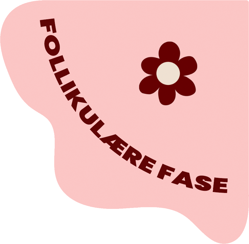 Gå til follikulærfasen