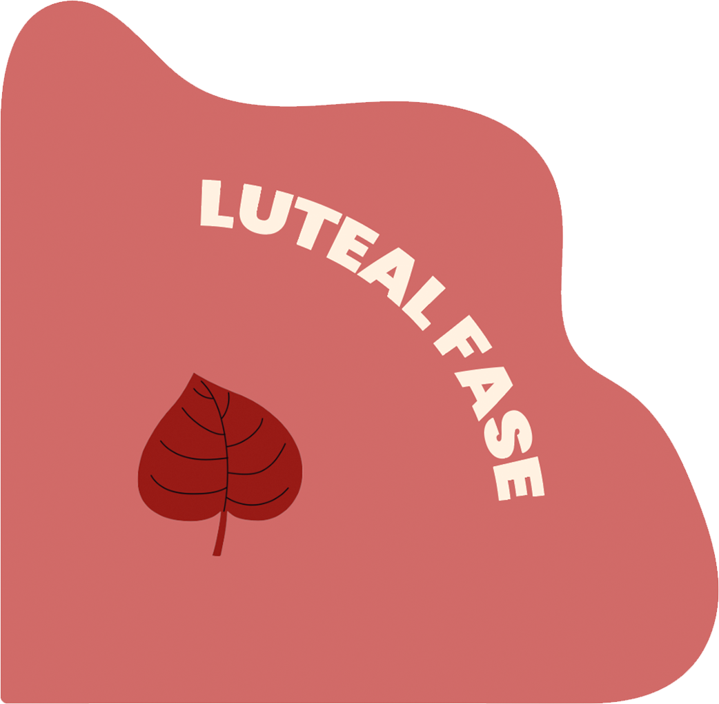Gå til lutealfasen