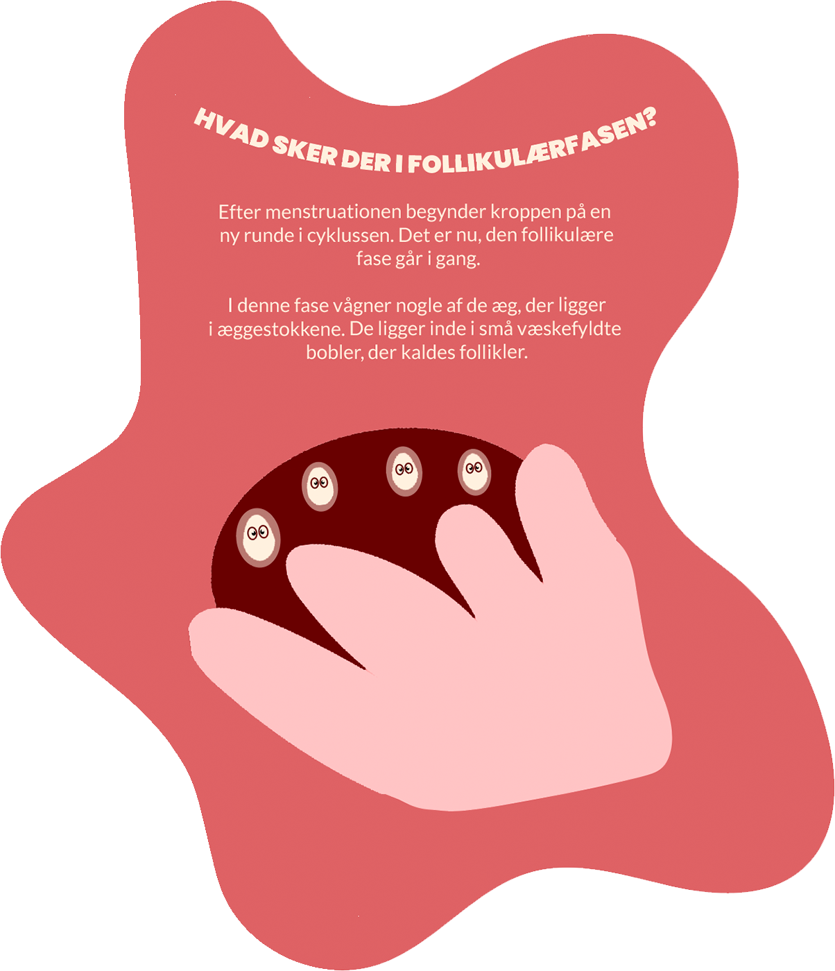 tekst follikulaer